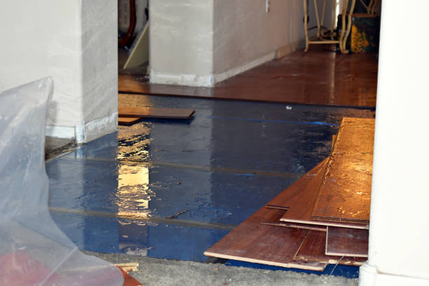 Professional Water Damage Restoration technician working in Burleson, TX